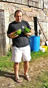 097 kamyk's melons