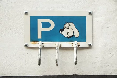 052 dog parking